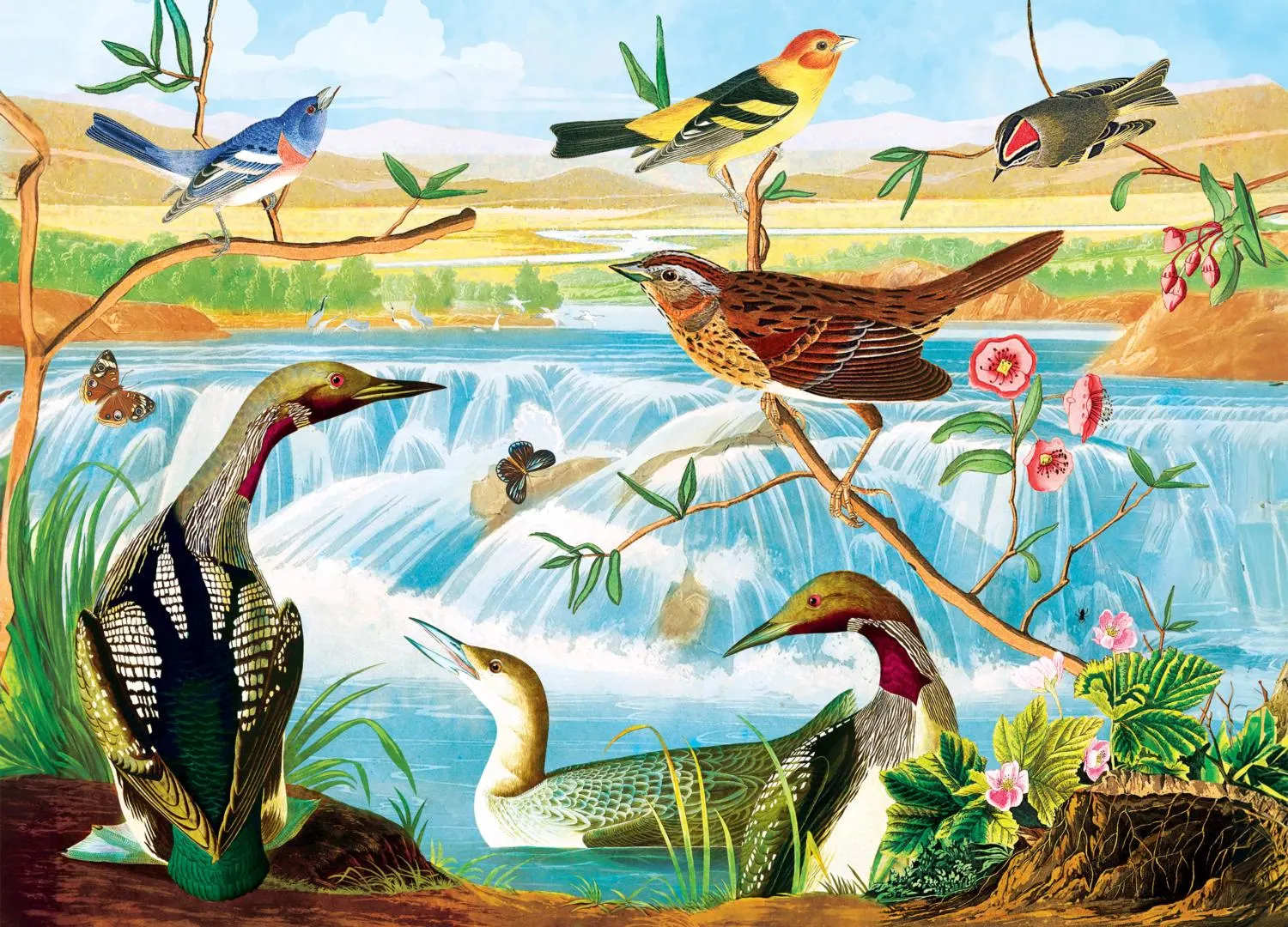 Audubon - Harmony of Birds and Stream