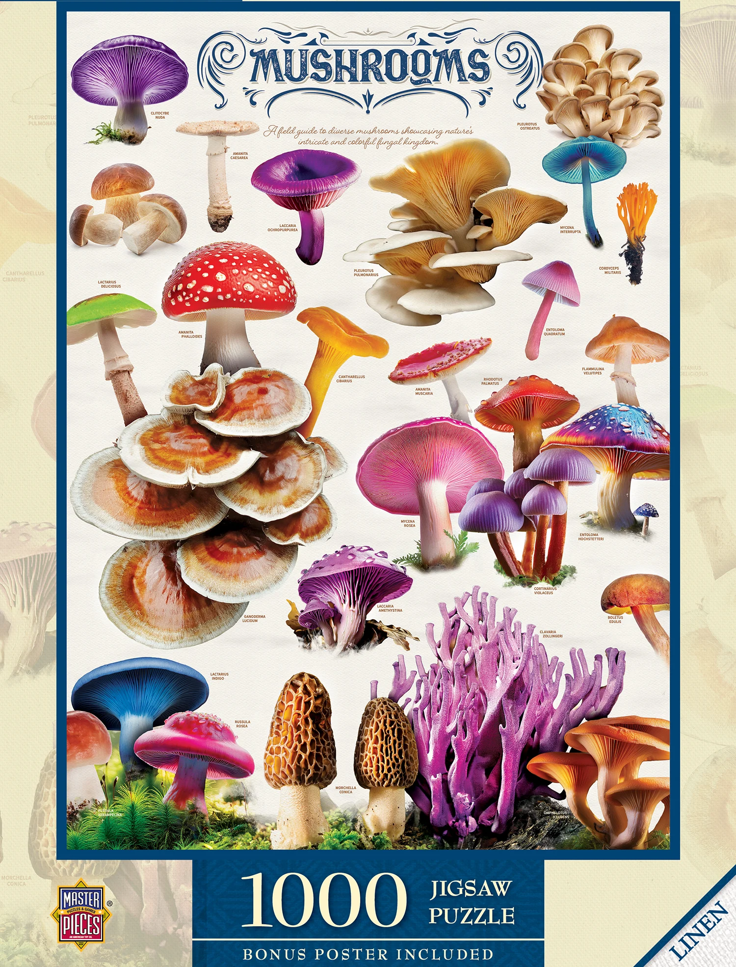 Field Guide - Mushrooms Flower & Garden