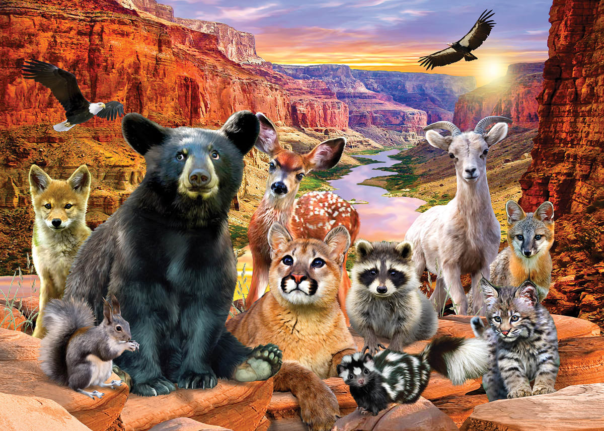 Grand Canyon Forest Animal