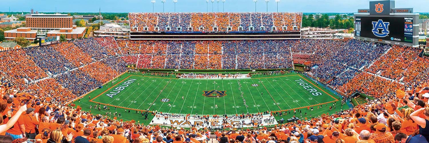 Auburn Tigers NCAA Stadium Panoramics Center View Sports