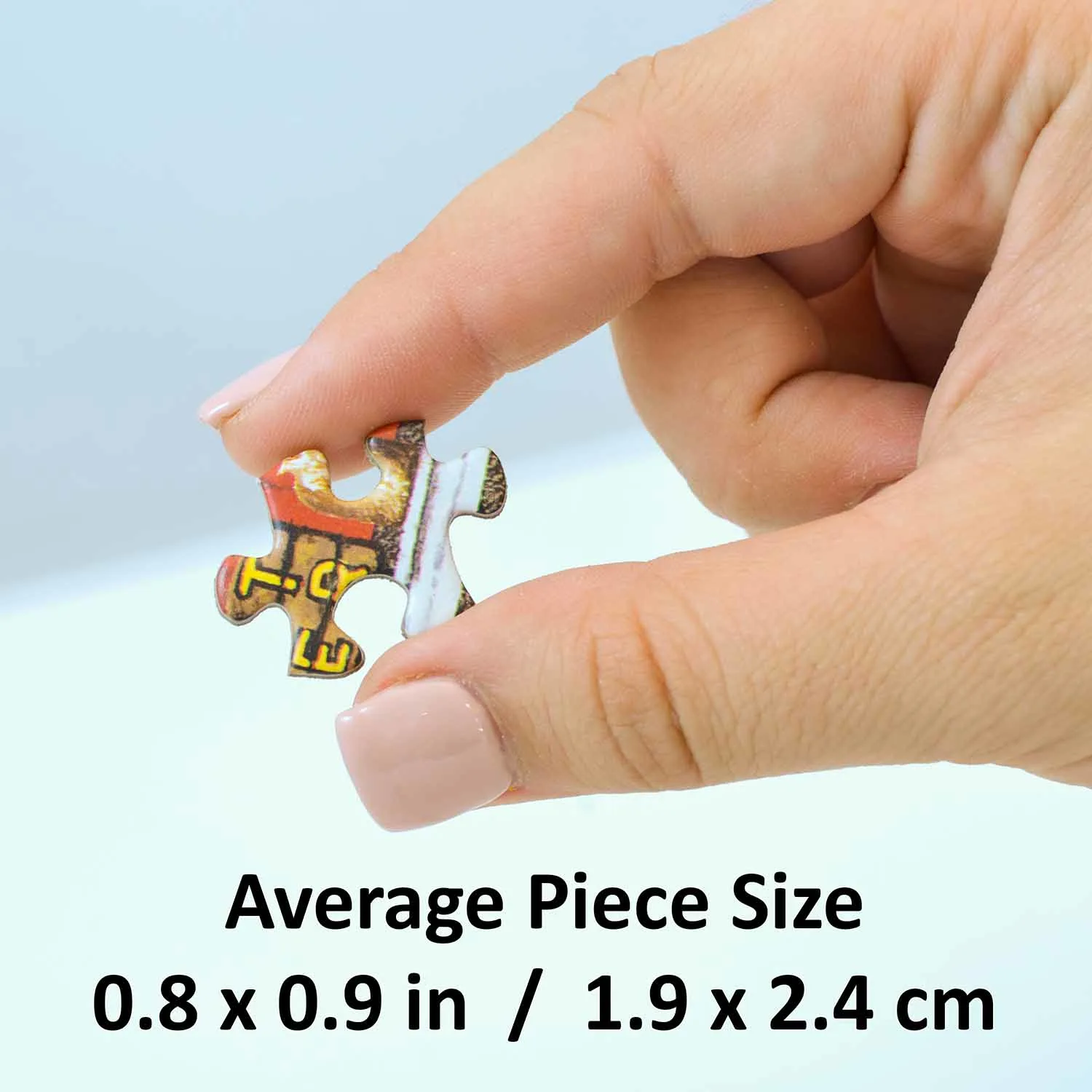 Houston Texans NFL Stadium Panoramics Center View