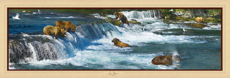 Masters of Photography - Bearly Fishing Bear