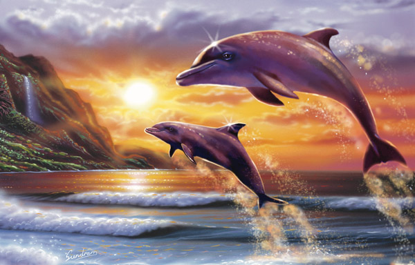 Jump for Joy Dolphin