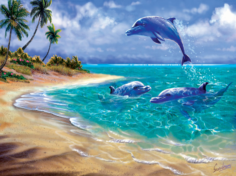 Bahama Dolphins