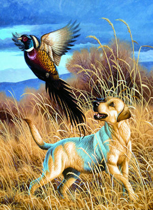 Dog & Pheasant