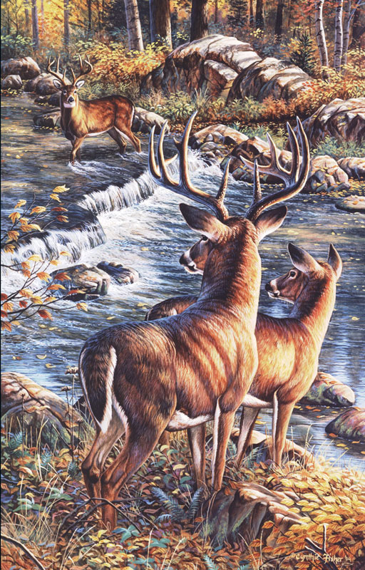 Deer Crossing Forest Animal