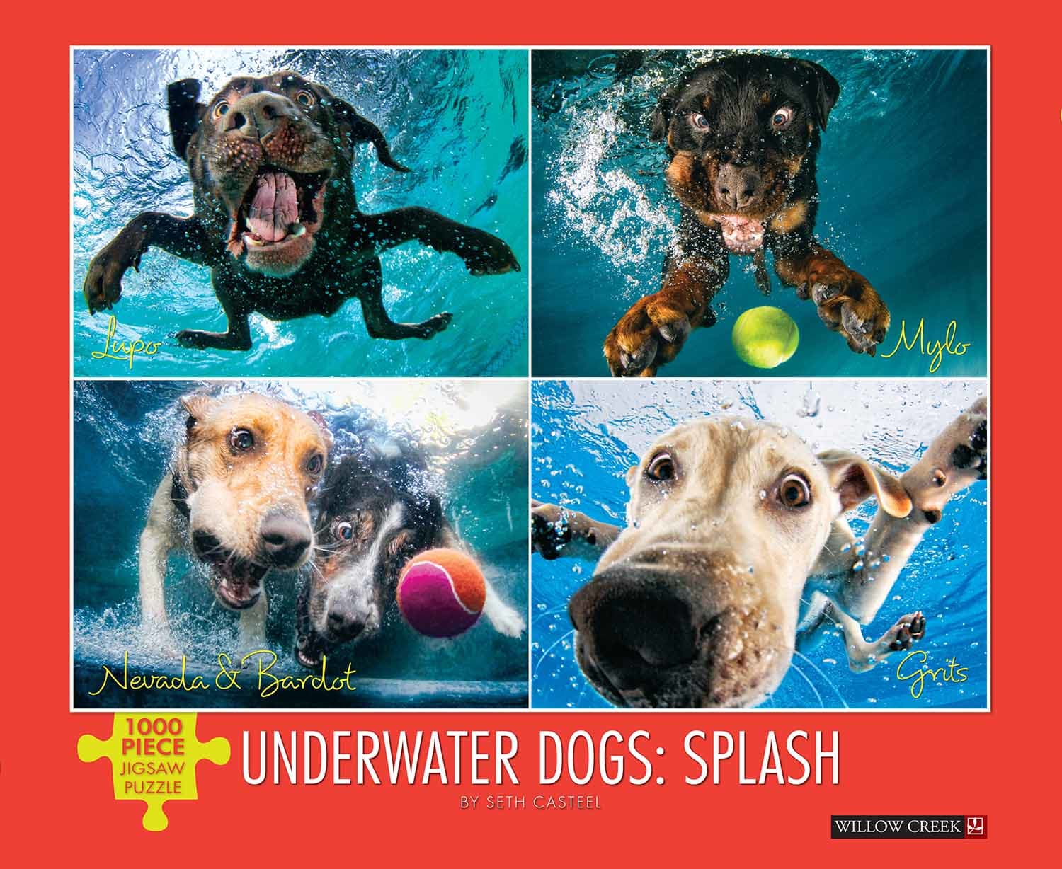 Underwater Dogs:  Splash