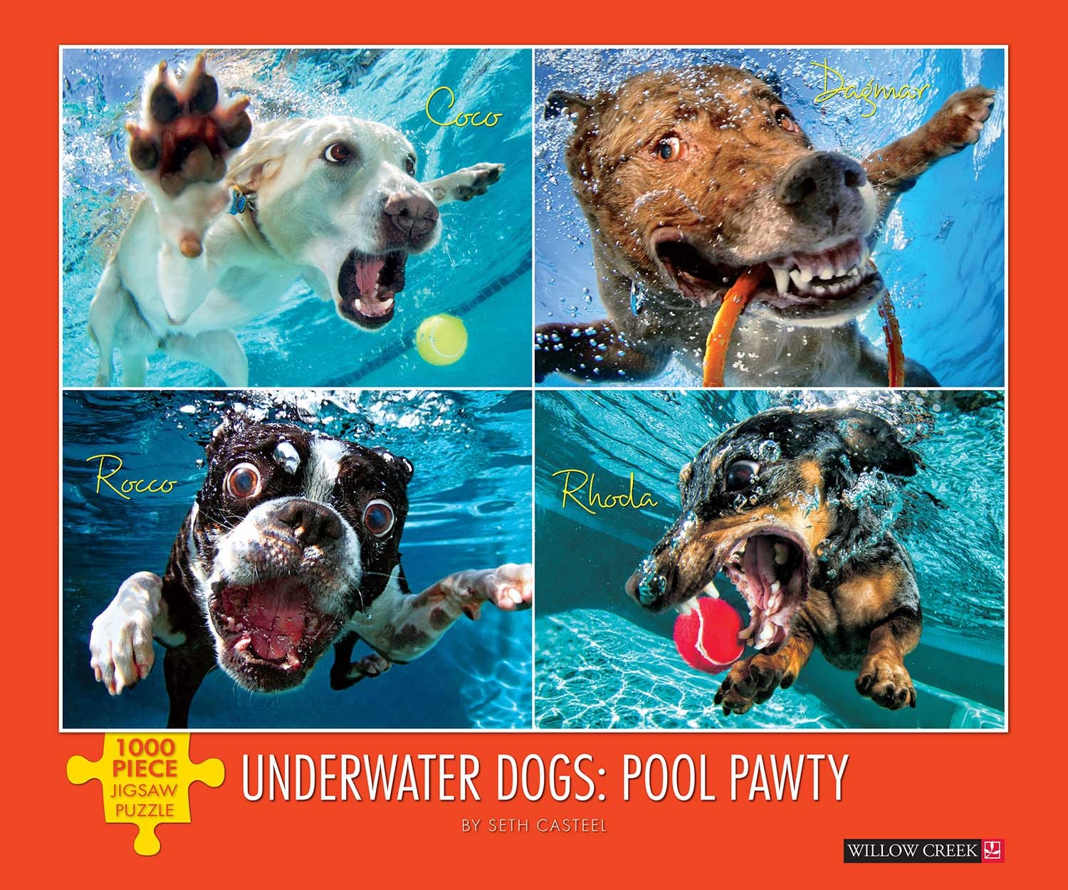 Underwater Dogs:  Pool Pawty