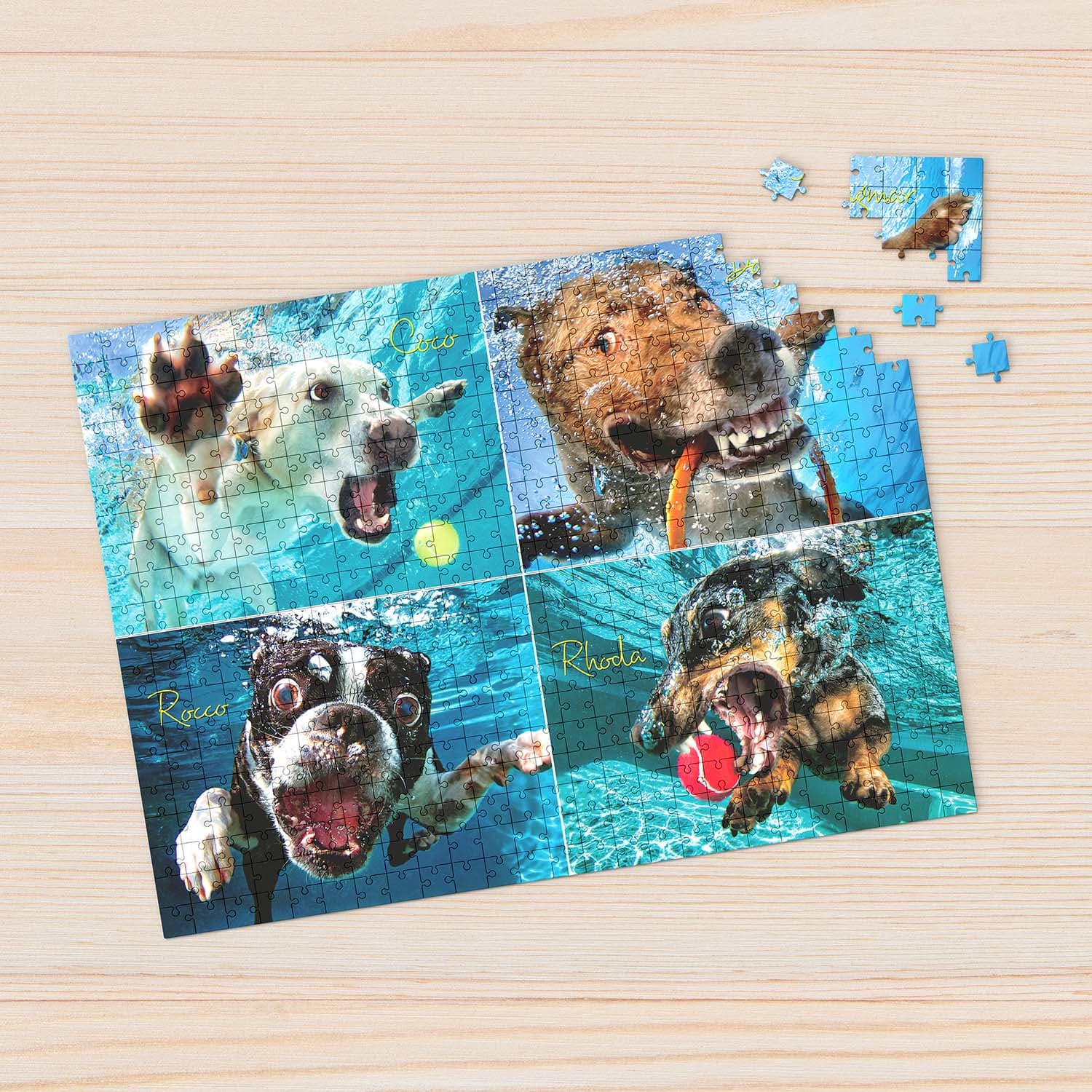 Underwater Dogs:  Pool Pawty