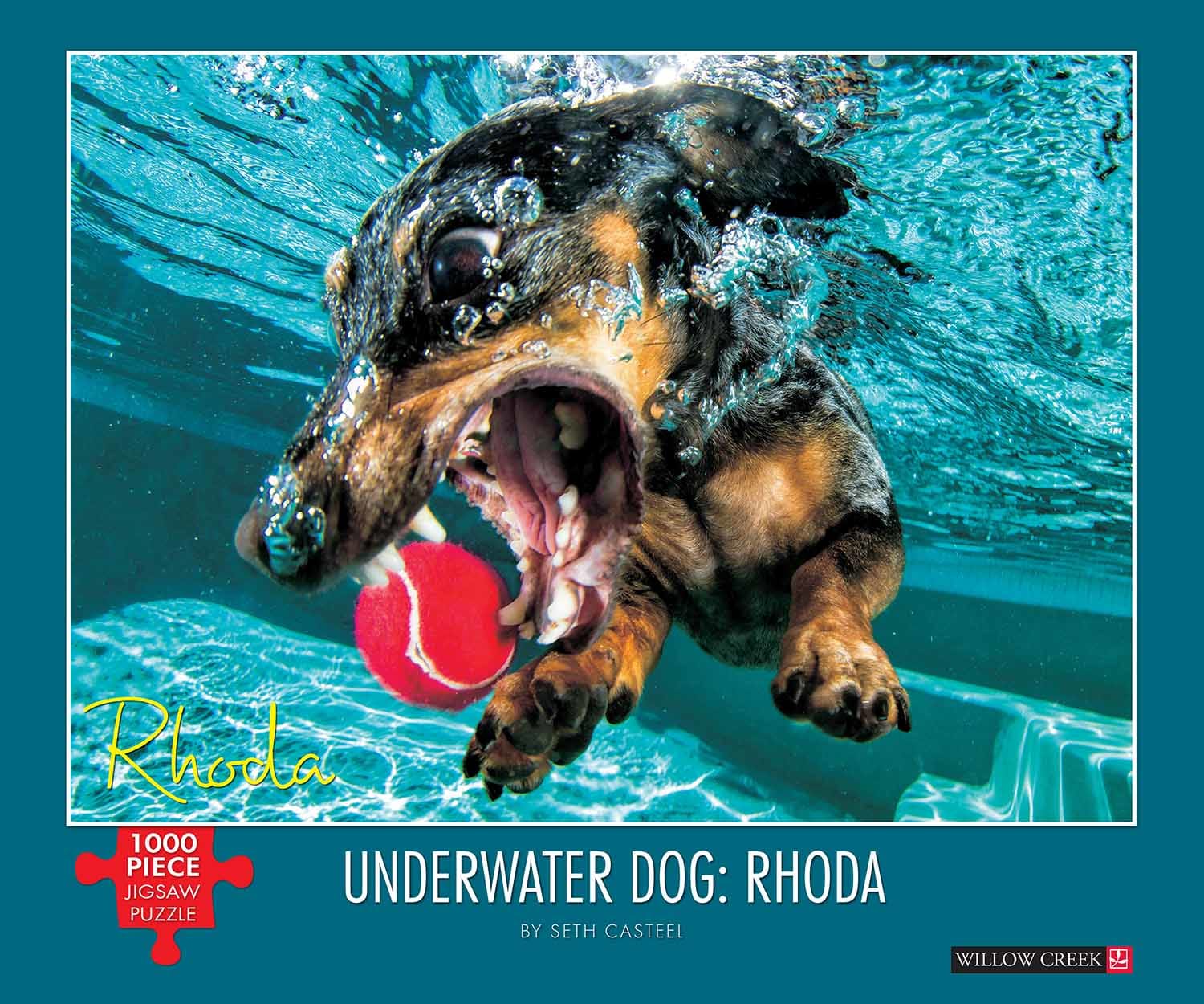 Underwater Dogs:  Rhoda