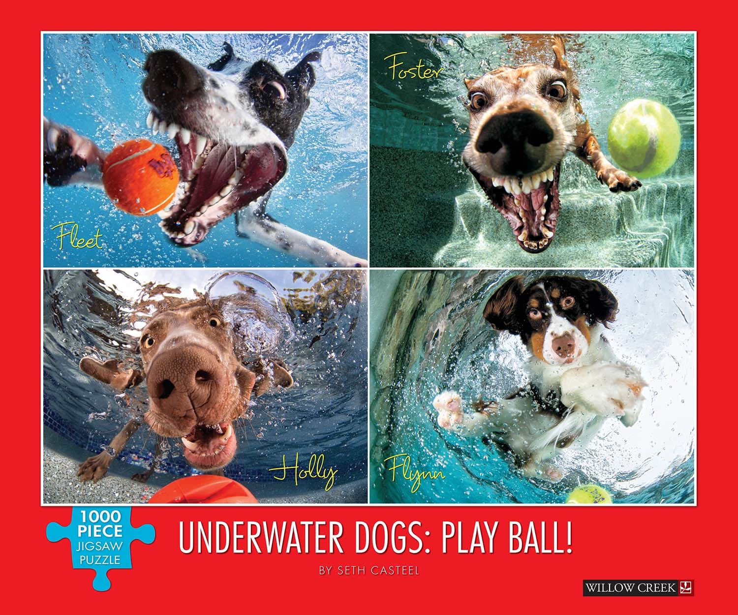 Underwater Dogs:  Play Ball
