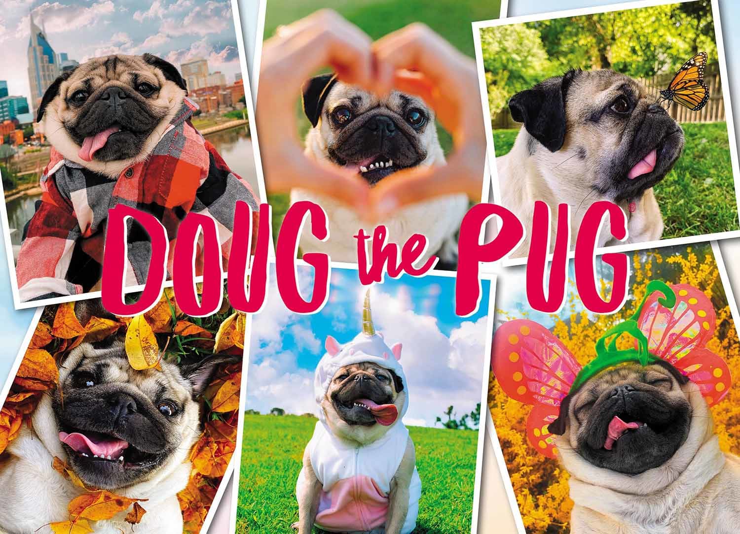 Doug the Pug: Pugs & Kisses Dogs