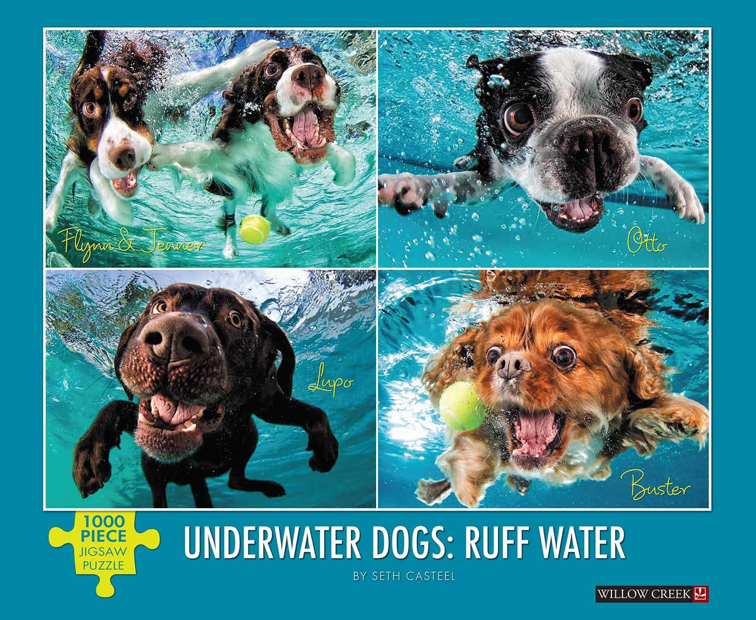 Underwater Dogs: Ruff Water