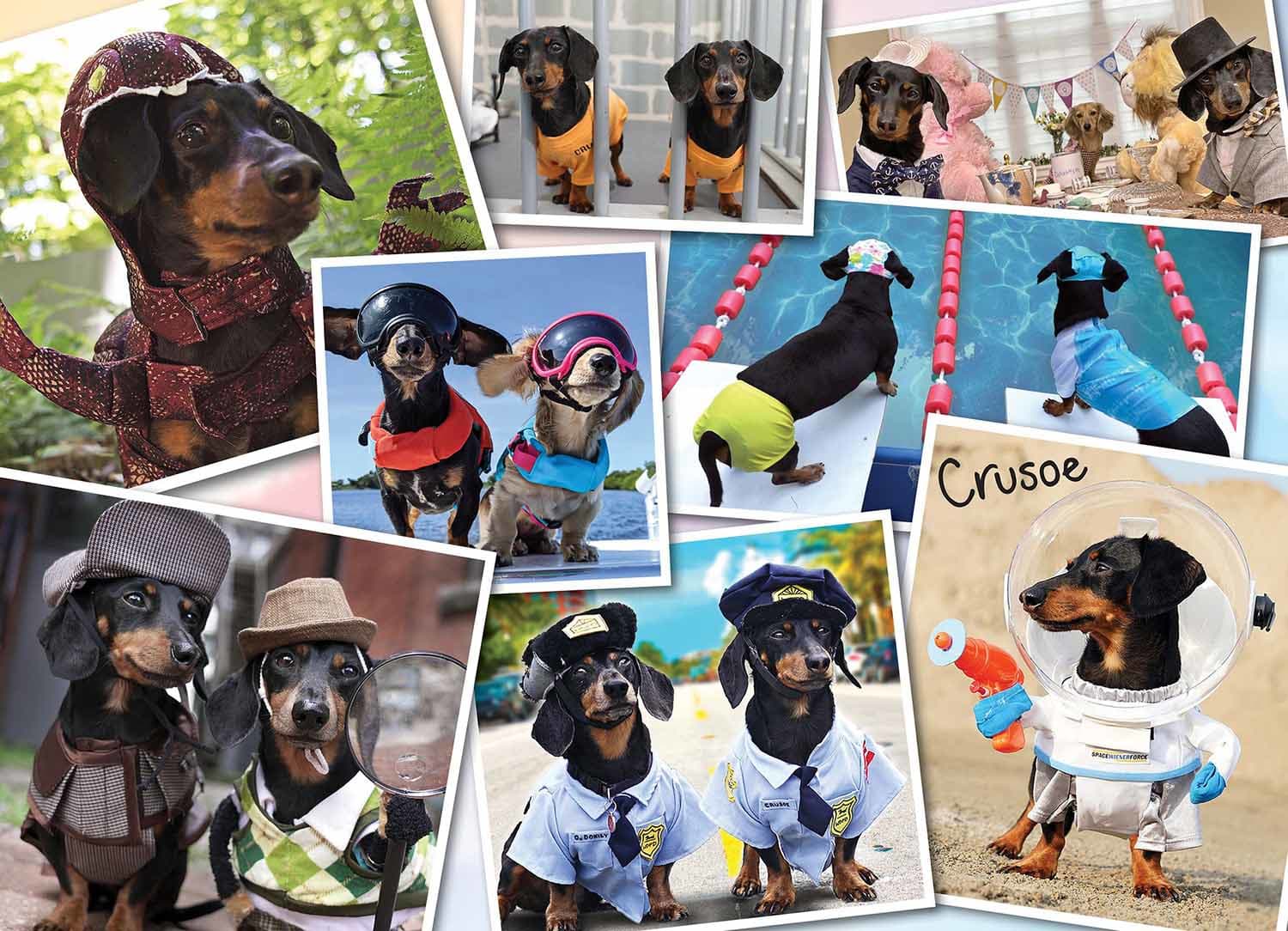 Crusoe's Greatest Hits Dogs