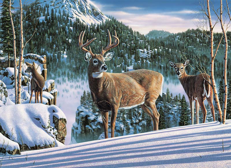 Morning View Forest Animal