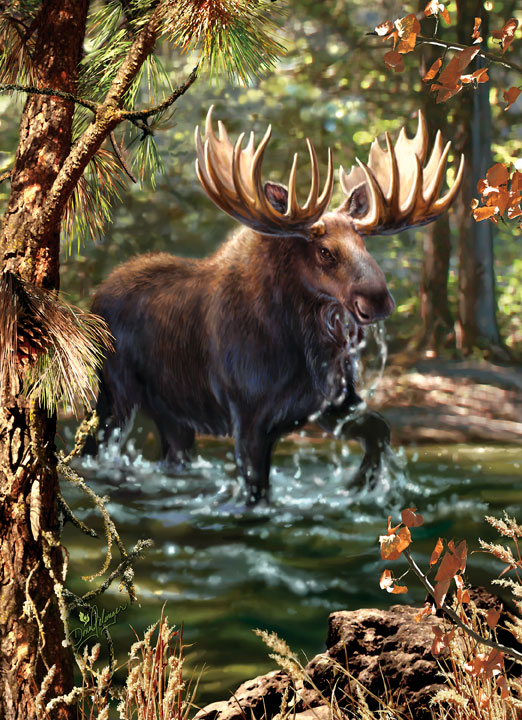 Peek Season - Moose Crossing Forest Animal