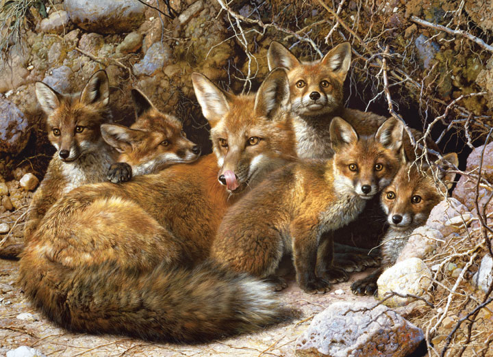 Full House Forest Animal