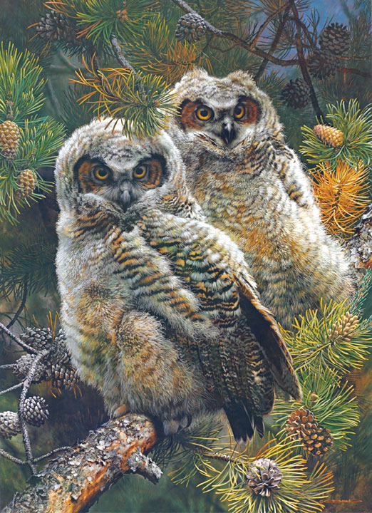 Hidden in the Pines Birds