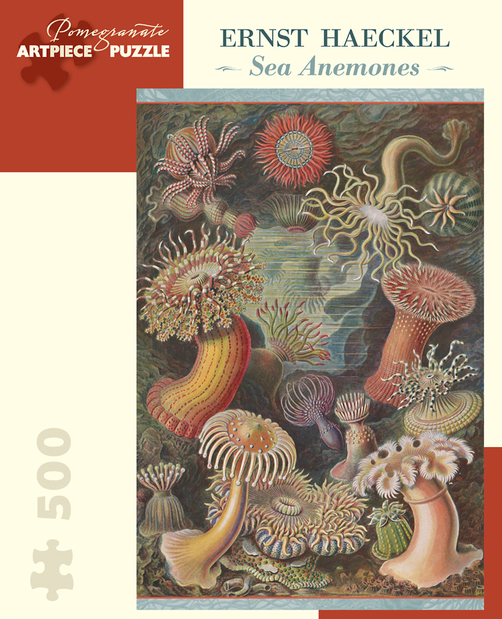 Sea Anemones Sea Life Jigsaw Puzzle