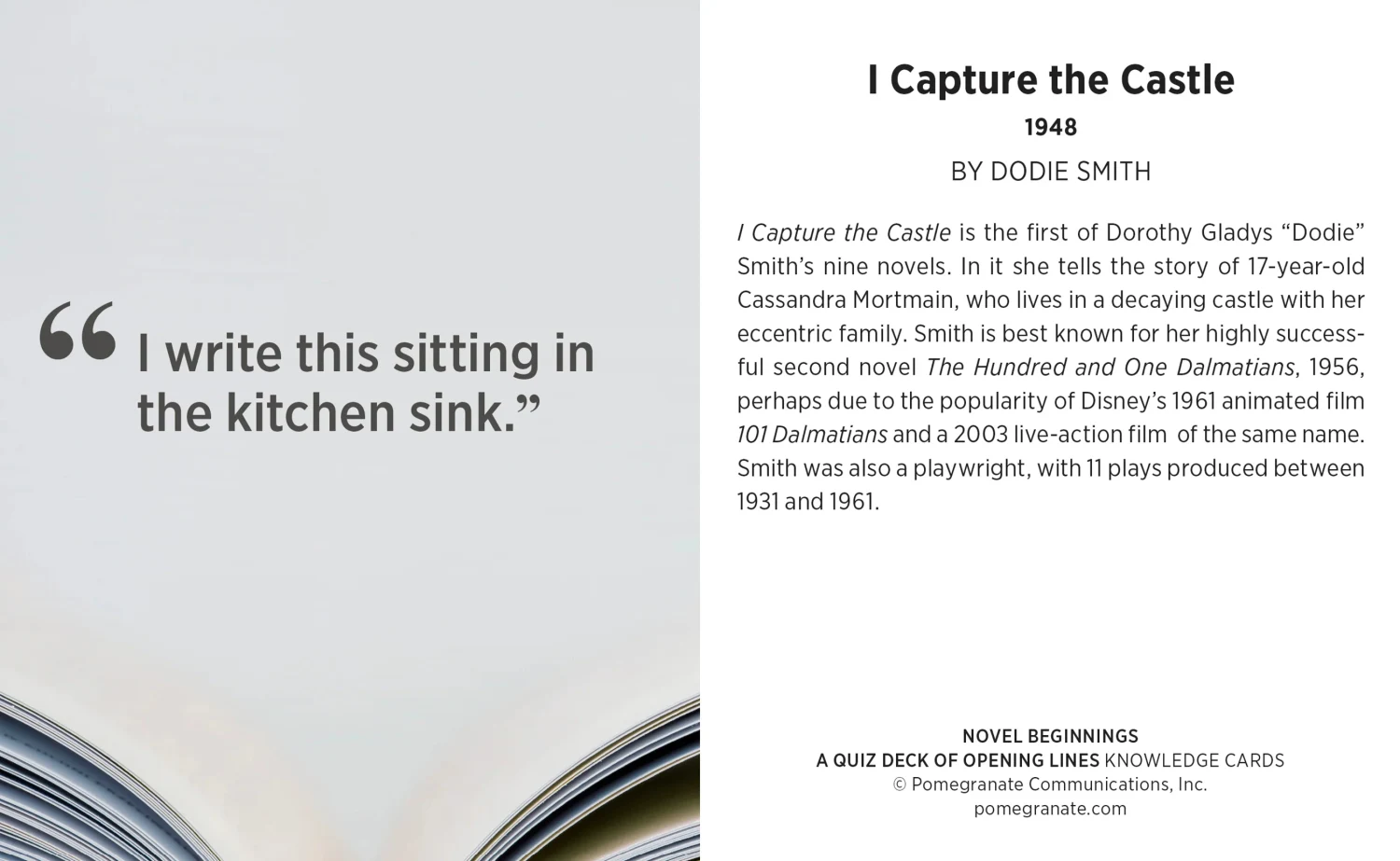 Novel Beginnings Knowledge Cards