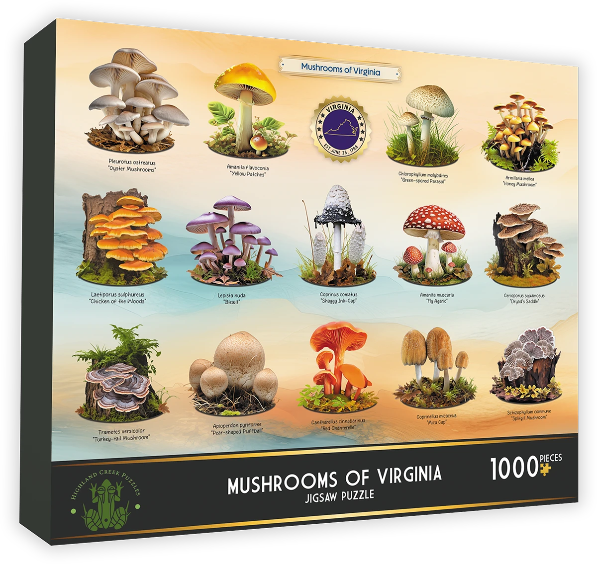 Mushrooms of Virginia United States