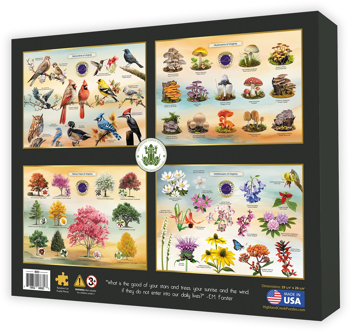 Mushrooms of Virginia