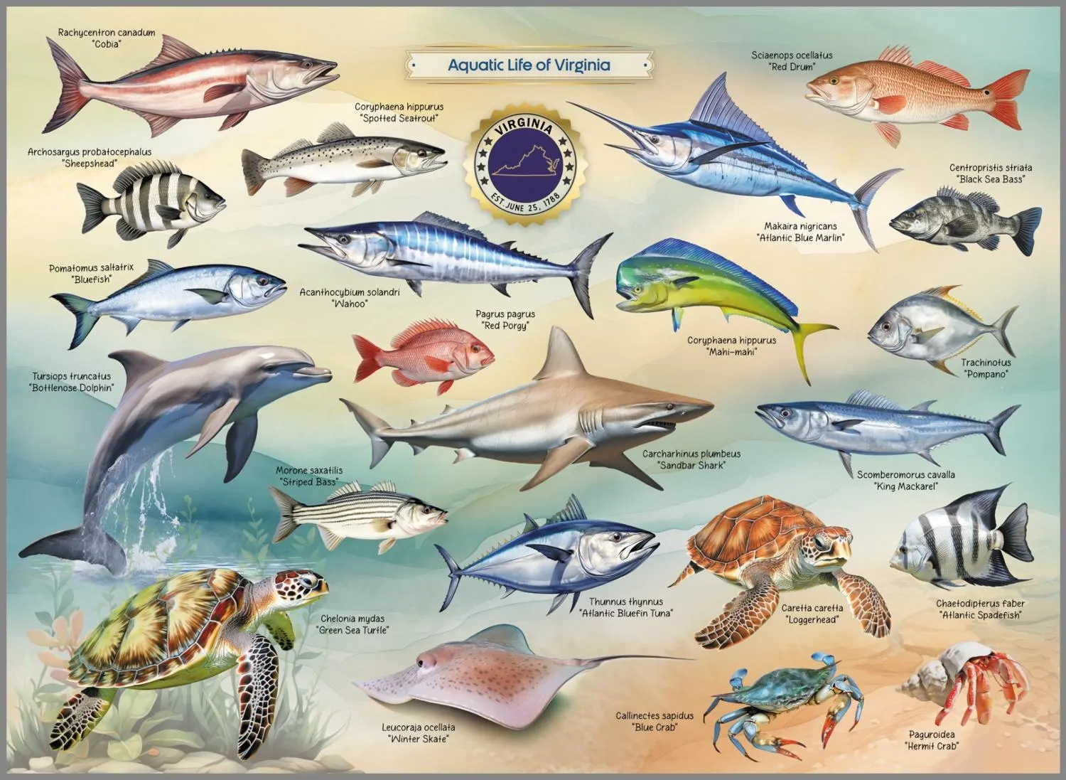 Aquatic Life of Virginia