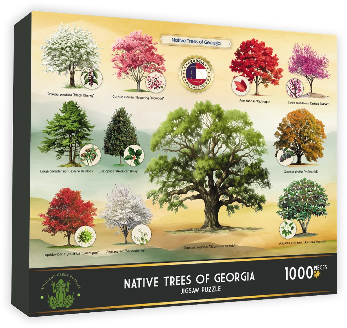 Native Trees of Georgia United States