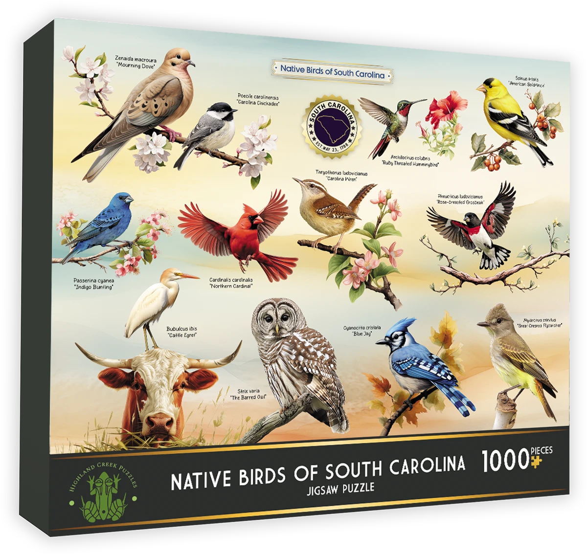 Native Birds of South Carolina United States