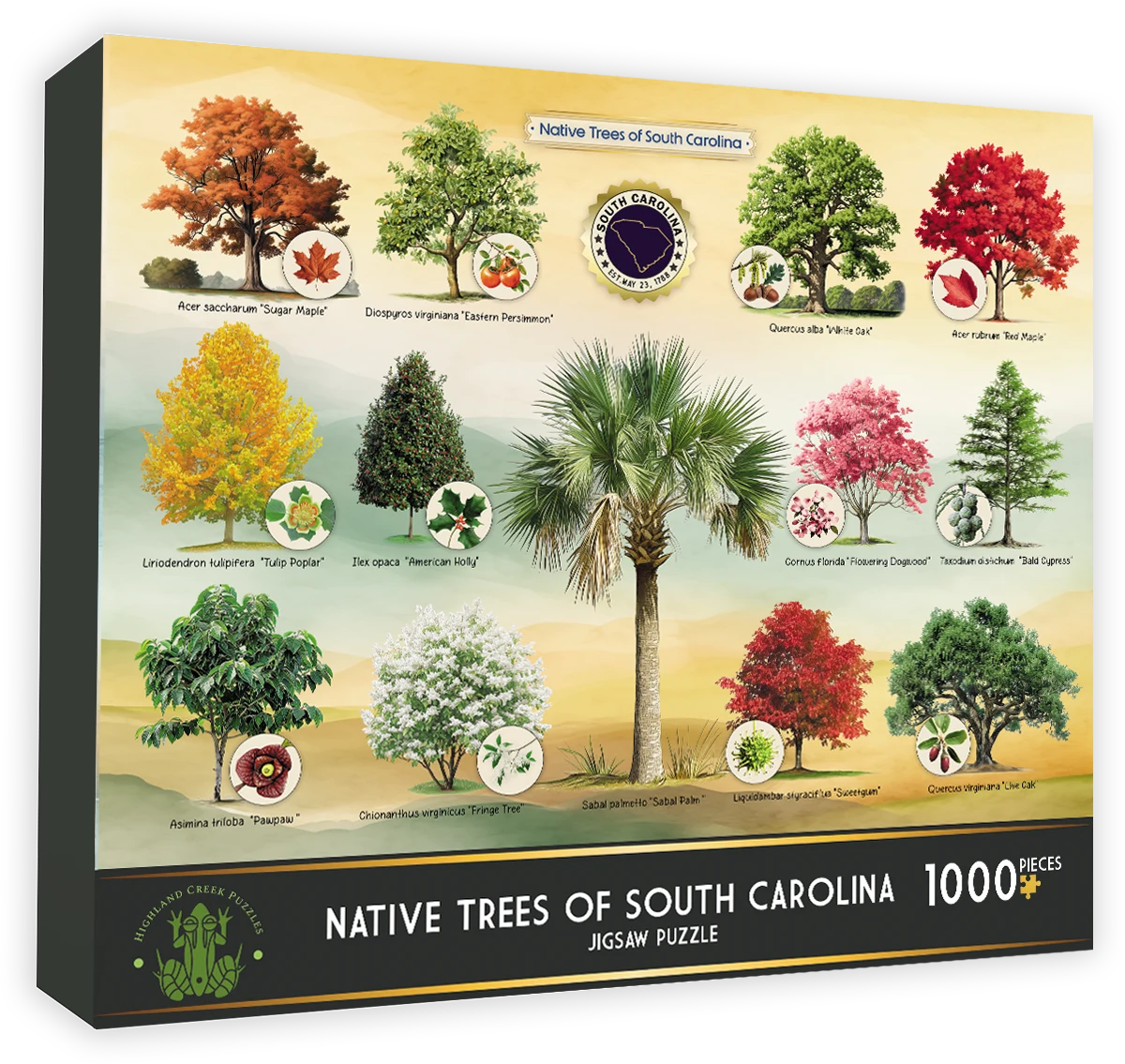 Native Trees of South Carolina United States