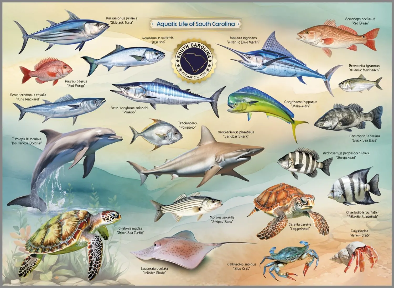 Aquatic Life of South Carolina