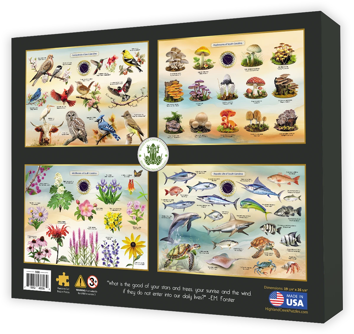 Coastal Birds of South Carolina