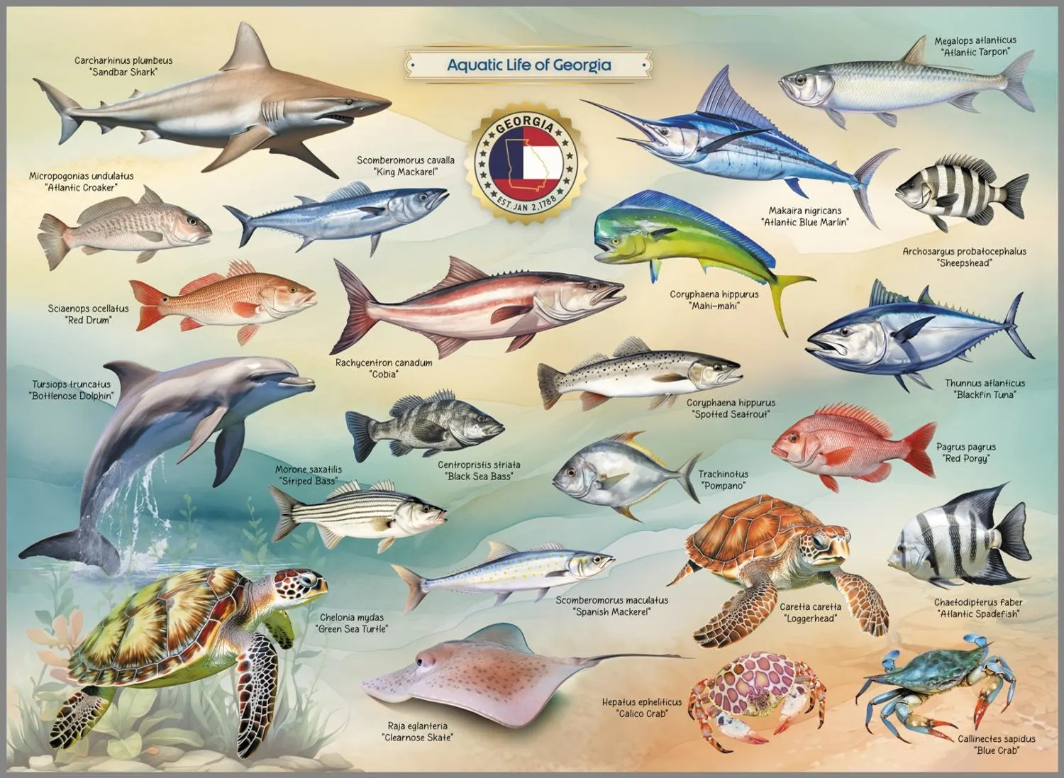 Aquatic Life of Georgia - Scratch and Dent