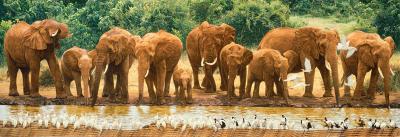 Heavy Drinkers Animals