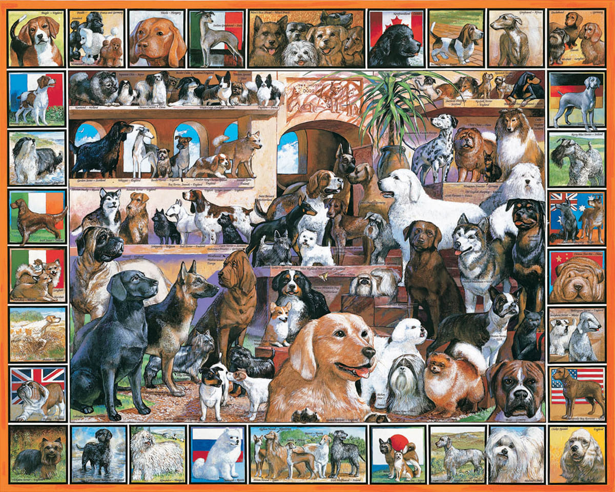 The World of Dogs Dogs