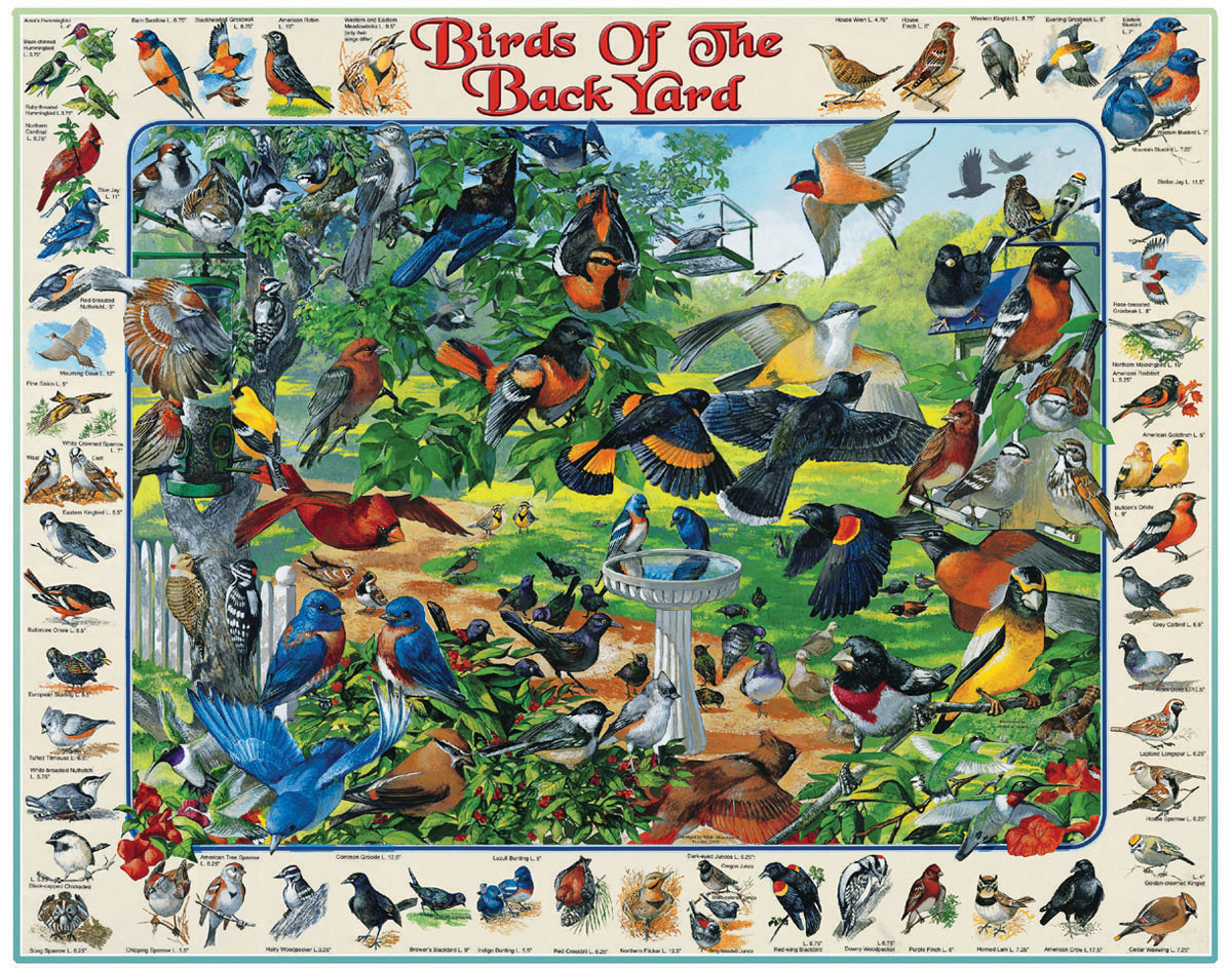 Birds of the Back Yard Birds Jigsaw Puzzle