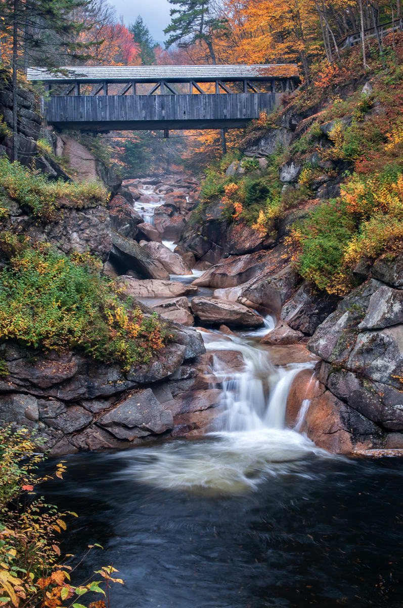 Covered Bridge Landscape