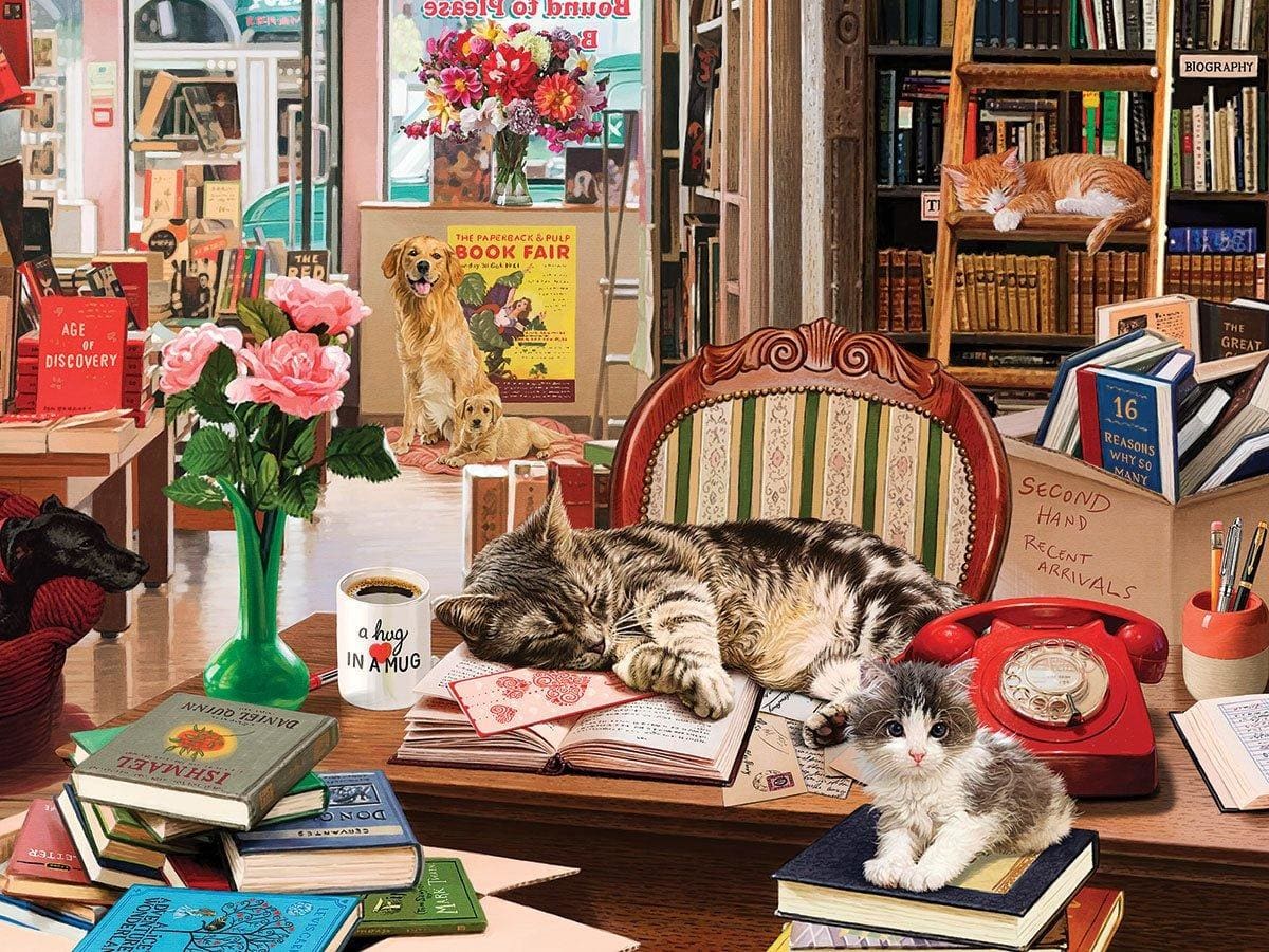 Cozy Bookshop Cats