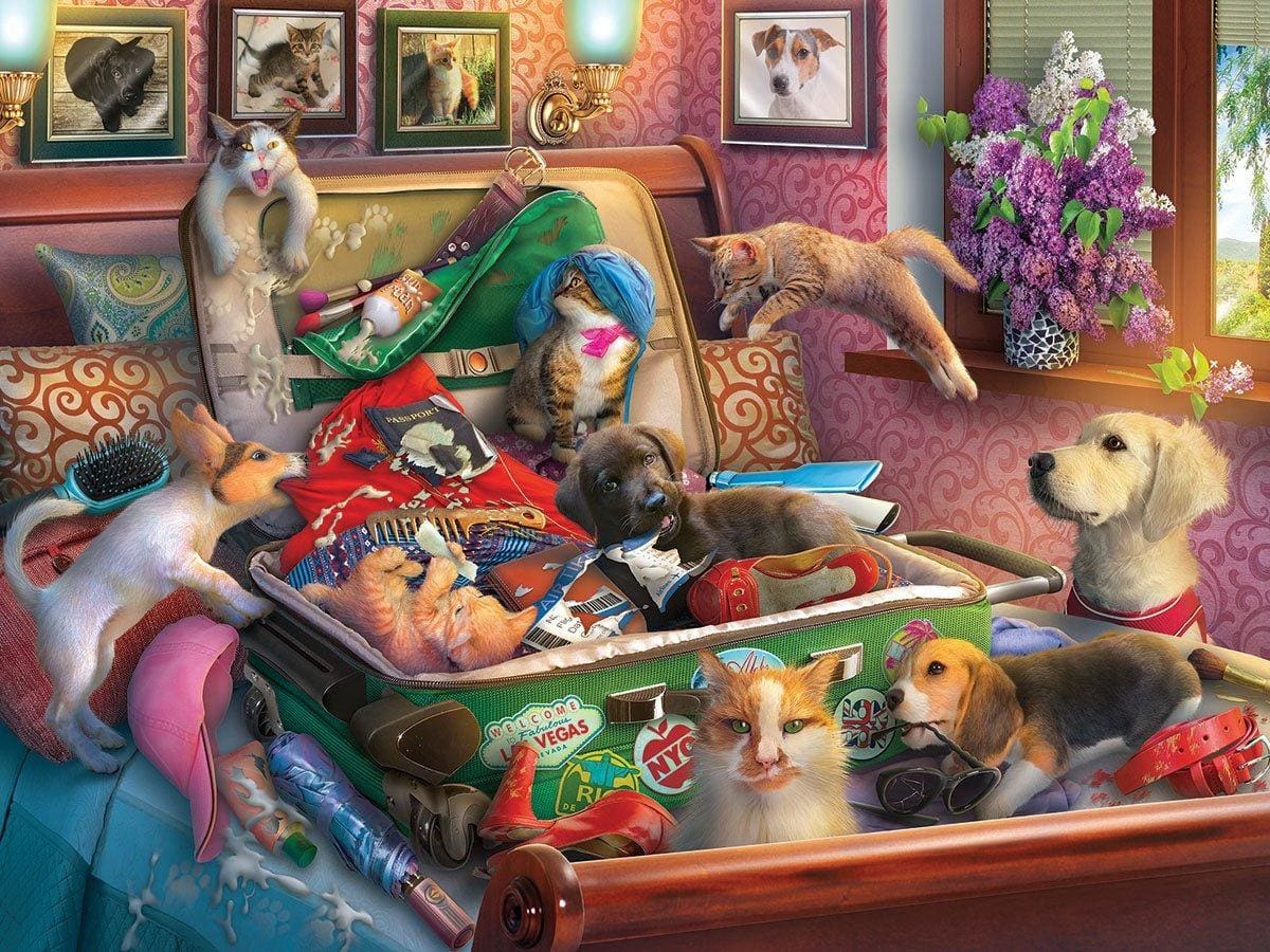 Paws Gone Wild Around the House