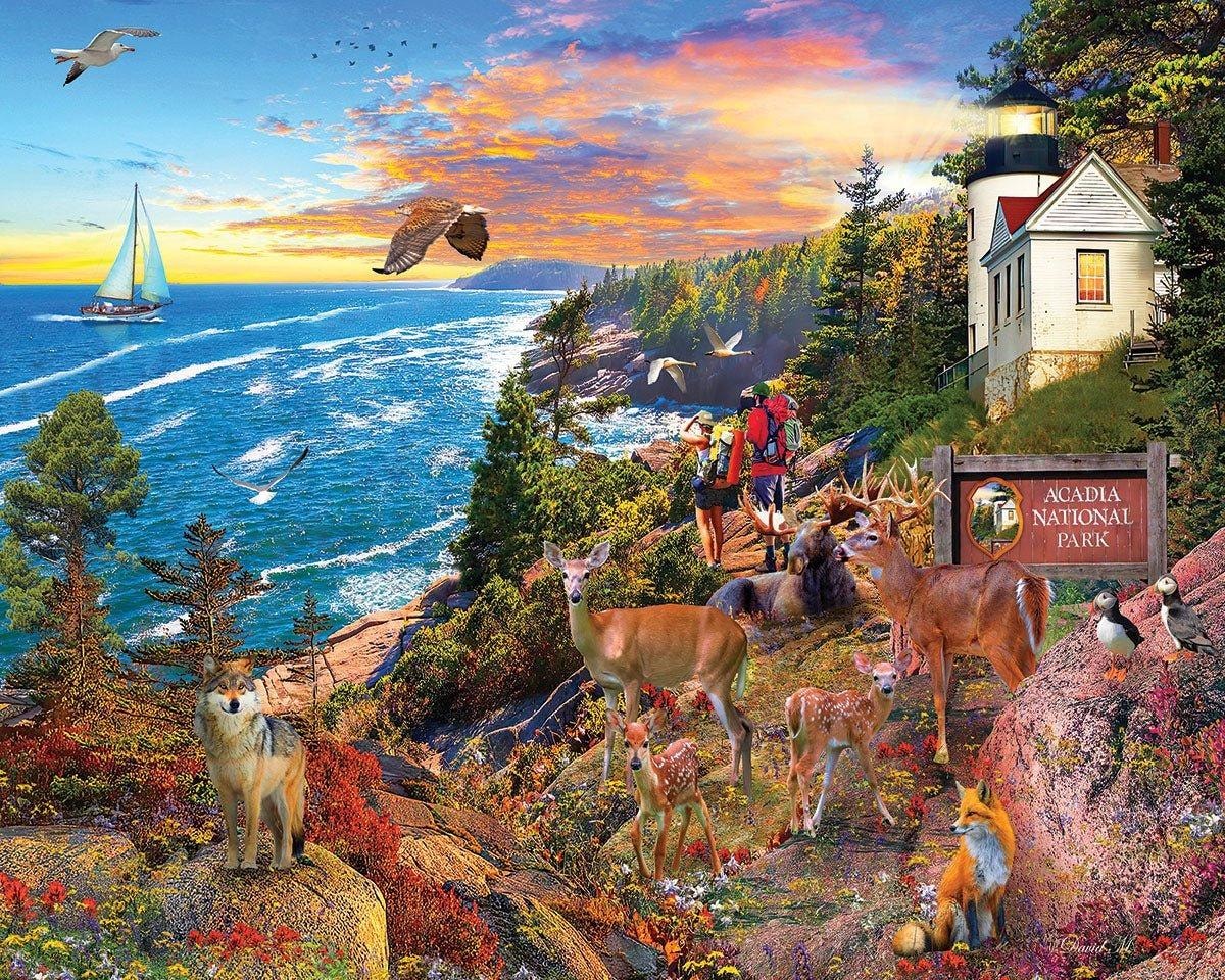 Acadia National Park National Parks