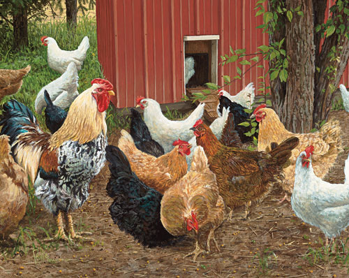 Hen Pecked Farm Animal