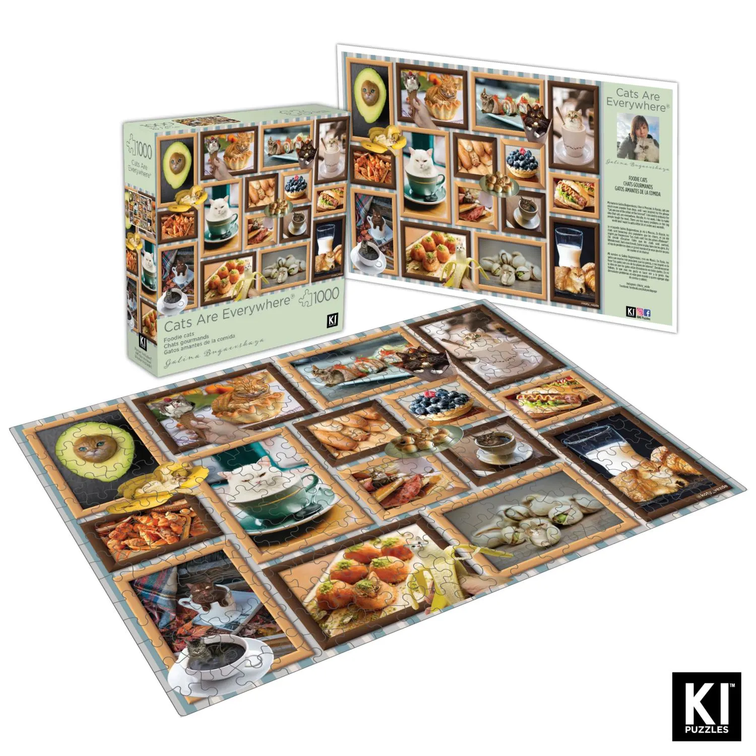 Cats are Everywhere - Foodie Cats