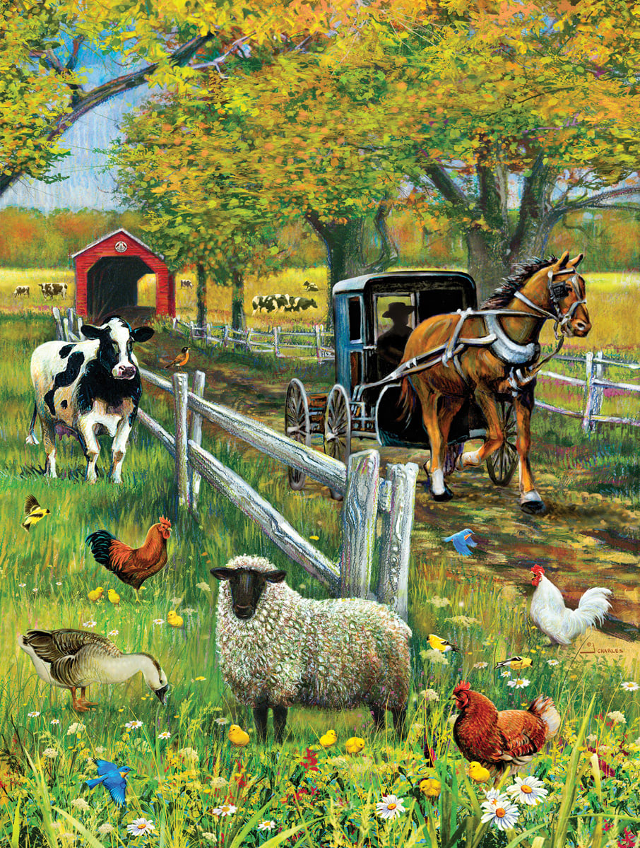 Covered Bridge and Buggy Countryside