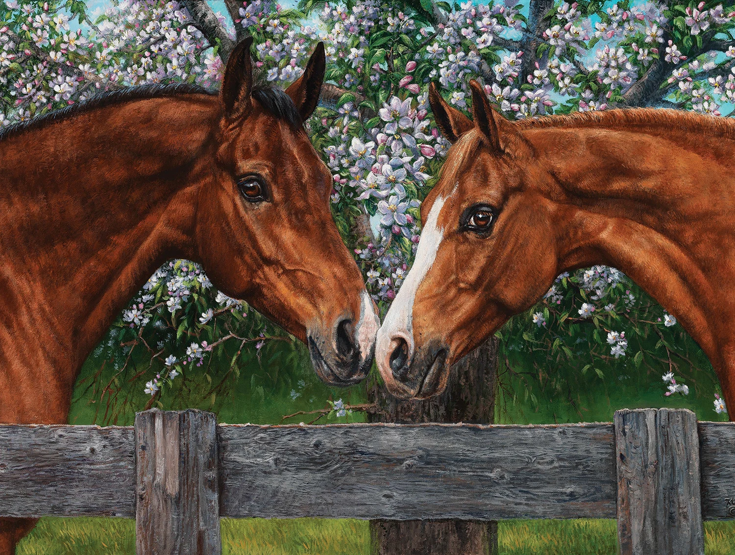 A Blossoming Friendship - Scratch and Dent