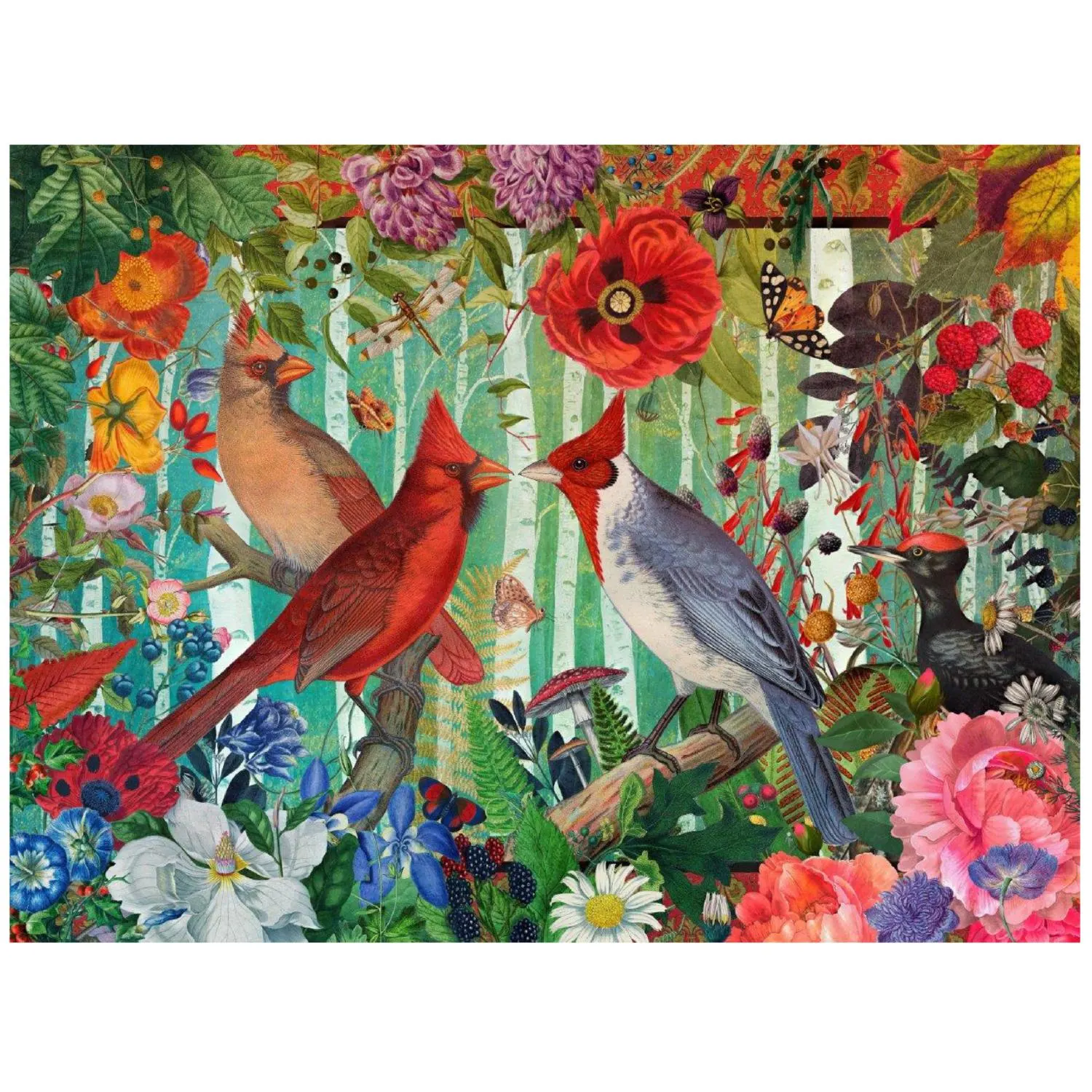 Enigma - Jenna Dellagrottaglia - Cardinal Garden - Scratch and Dent Birds