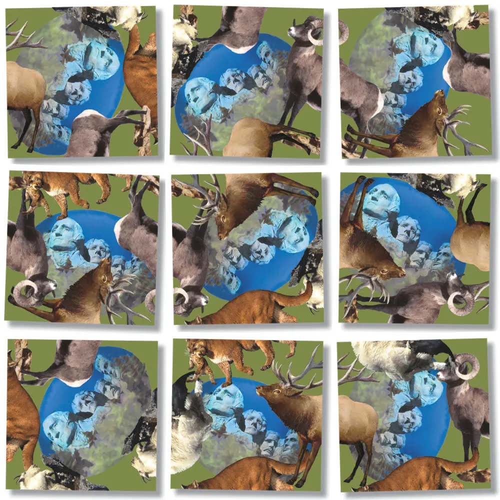 Mount Rushmore Landmarks & Monuments