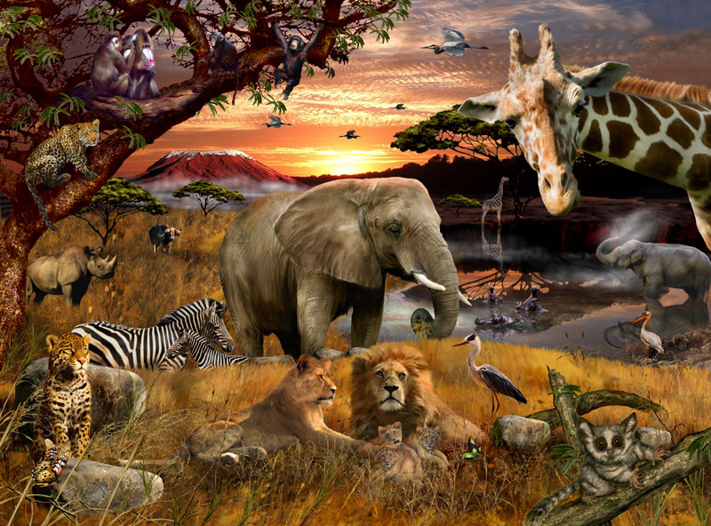 Animal Planet - Safari Friends Animals