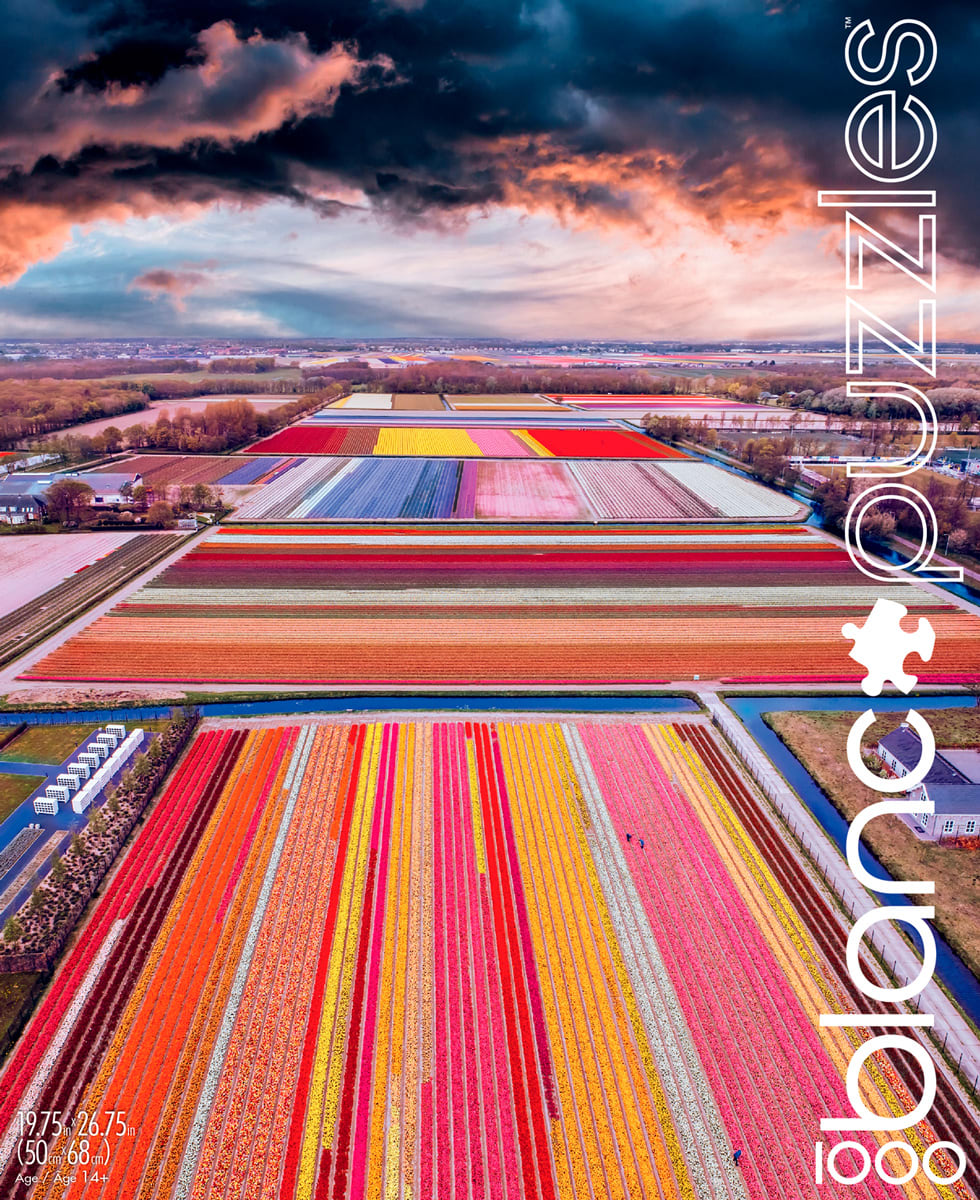 BLANC: Infinity Fields of the Netherlands