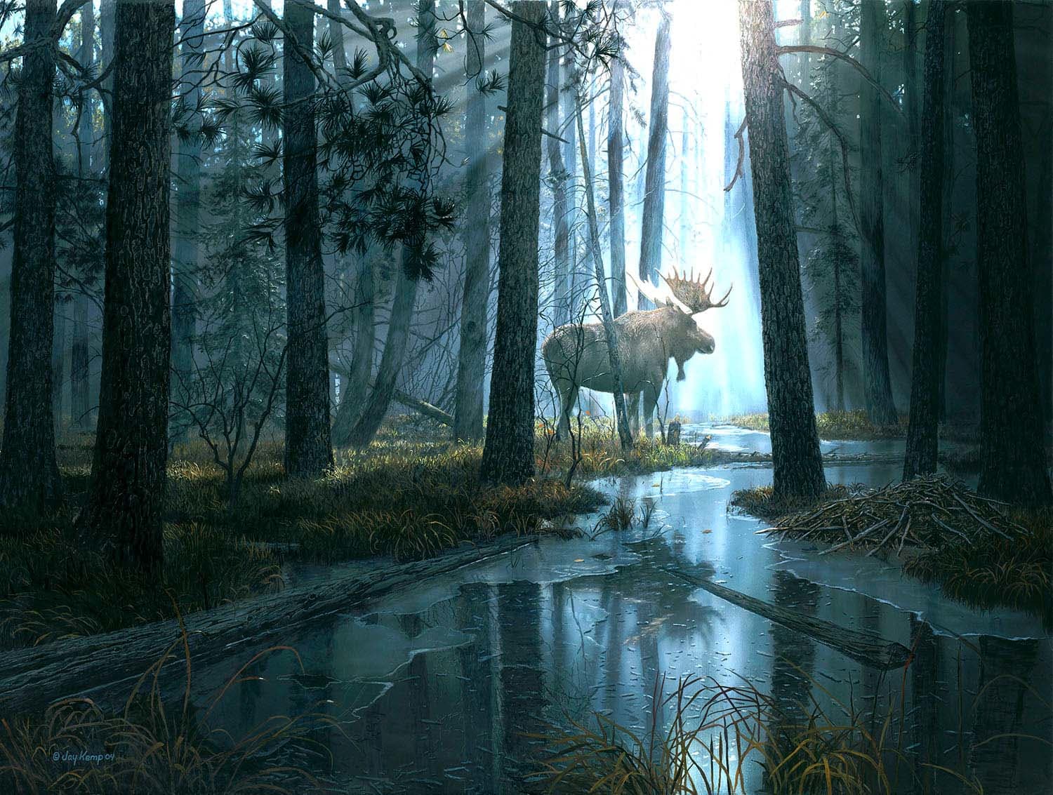 Caught by Light Animals