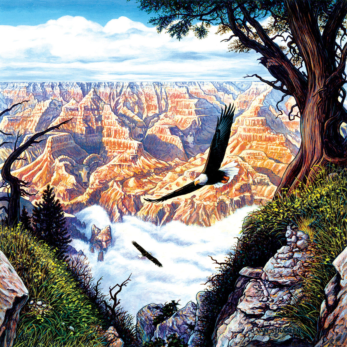 Guardians of the Canyon Eagle